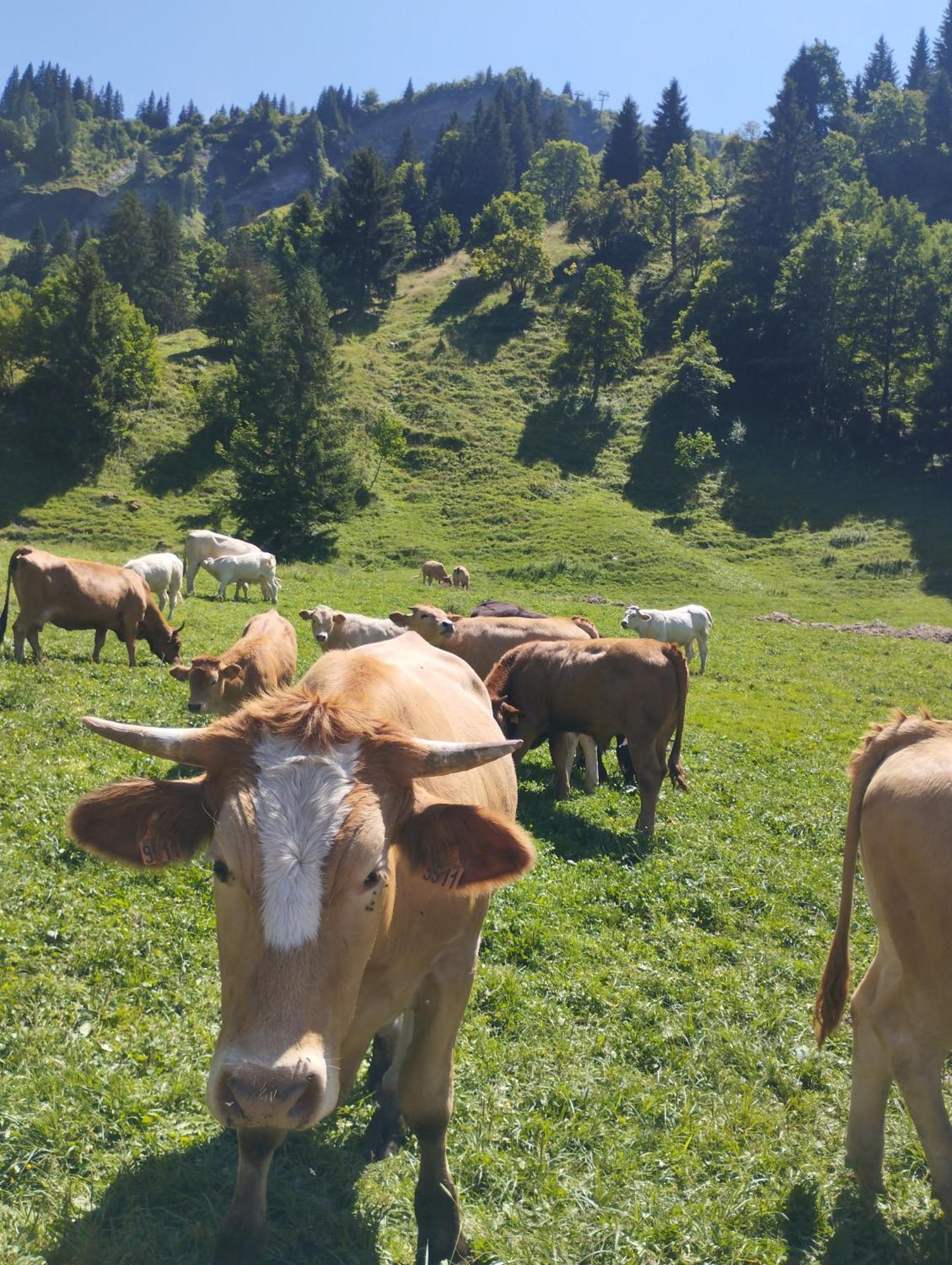 Le Gite Du Val Flumet Dış mekan fotoğraf